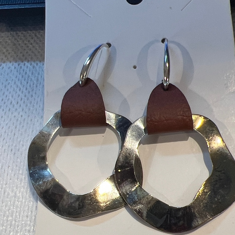 Chic Silver and Brown Earrings